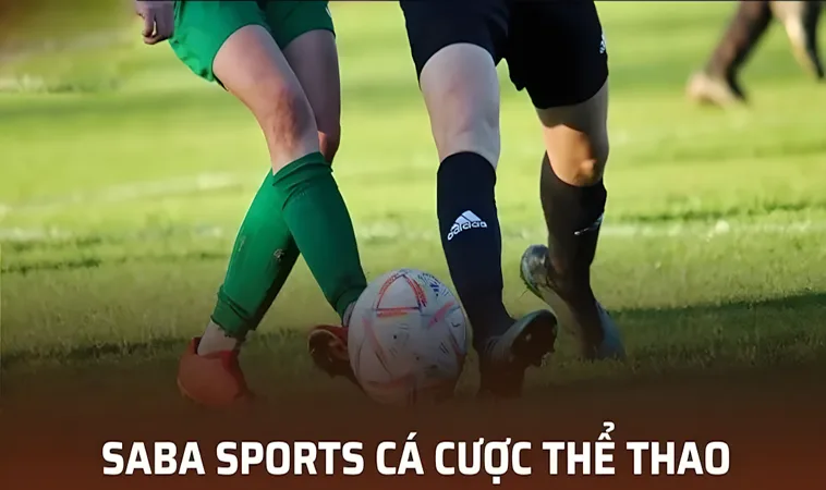 Hướng Dẫn Tham Gia Sảnh Saba Sports VL88 Nhanh Chóng Và Hiệu Quả 2 Các Loại Kèo Cược Phổ Biến Tại Saba Sports