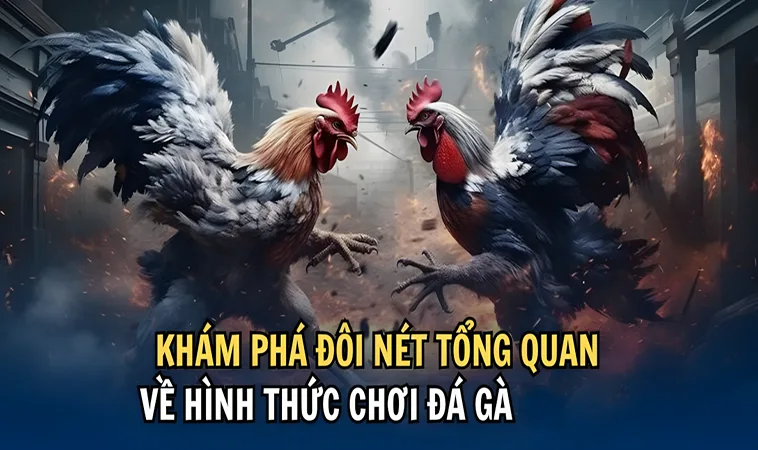 Đá Gà VL88: Khám Phá Sân Chơi Cá Cược Đẳng Cấp Nhất 1 Đá Gà VL88: Khám Phá Sân Chơi Cá Cược Đẳng Cấp Nhất